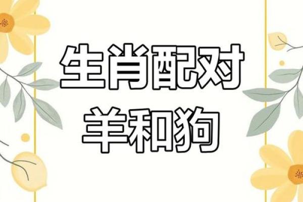 女属狗的和什么属相最配 女属狗的最佳婚配属相解析属相配对指南