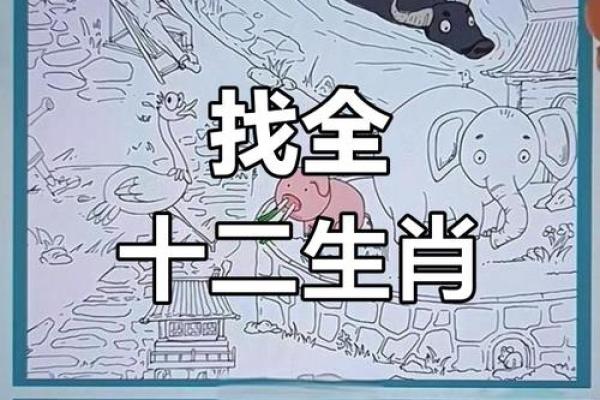 今年44岁属什么生肖_2023年44岁属什么生肖揭秘你的生肖运势