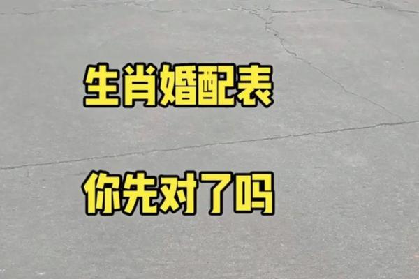 属马女和什么属相最配 属虎男与属马女婚配合适吗