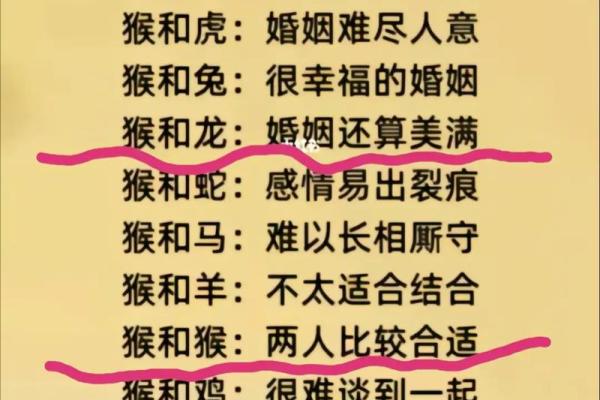 2000年属龙男孩最佳婚配指南生肖配对与幸福婚姻