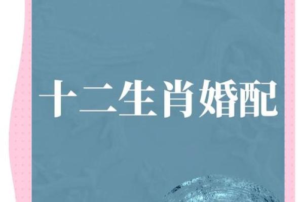 2000年属龙男孩最佳婚配指南生肖配对与幸福婚姻