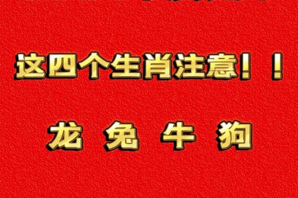 生肖兔和什么生肖最配_生肖龙和什么生肖最配