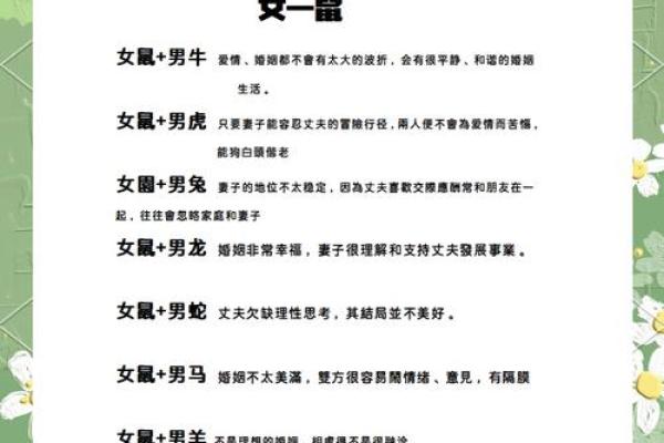 属龙和属鼠相配吗生肖配对解析与婚姻建议