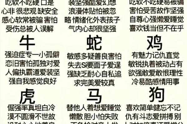 1992属于什么生肖啊 1992年属什么生肖揭秘1992年出生者的生肖属性