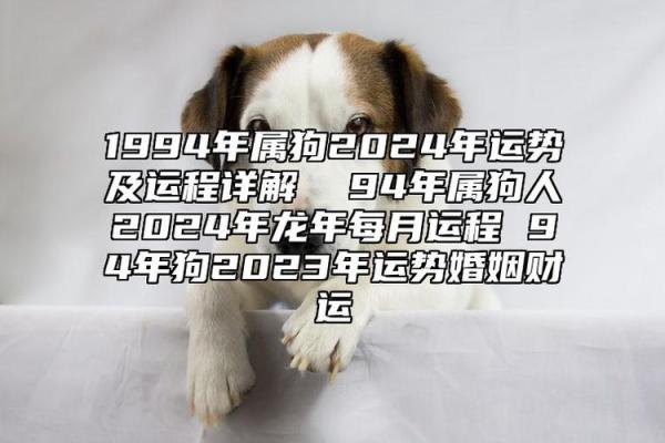1994年属什么生肖_1994年属什么生肖揭秘属狗人的性格与命运