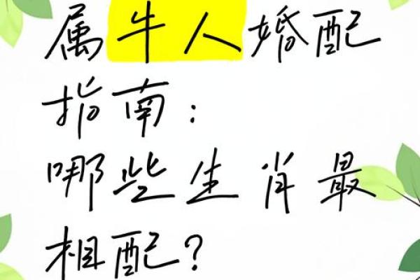 属牛的最佳婚配属相揭秘最合拍的生肖组合
