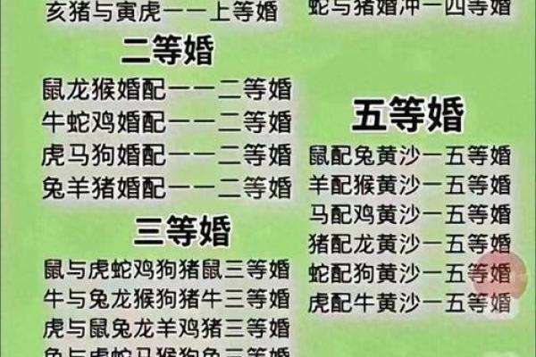 属牛最佳婚配属相解析幸福婚姻的生肖搭配指南