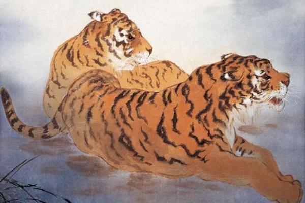 94年出生的属什么生肖 995年属什么生肖的