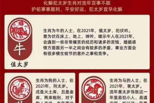 2026年属什么生肖_2026年生肖犯太岁