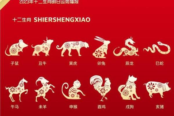 2023年36岁属什么生肖揭秘你的生肖运势