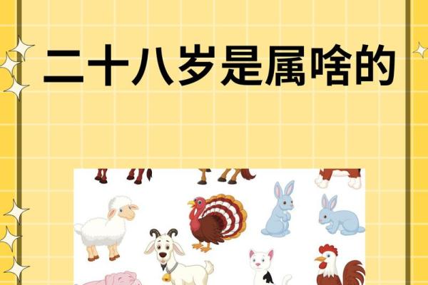 28岁属什么生肖 28岁属什么生肖配对
