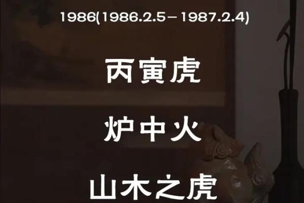 1986年属虎五行属什么_1986年属虎五行属什么解析生肖与五行的奥秘