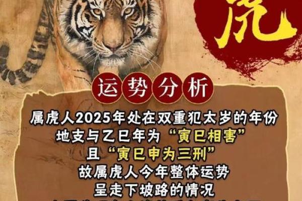 属虎离不开的两个贵人是谁_谁最旺属虎的
