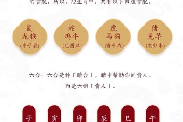 80年属什么生肖_80年属什么生肖揭秘1980年出生者的生肖奥秘
