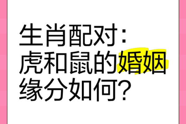 96鼠跟什么属相不合_1996年属鼠女和什么属相不合