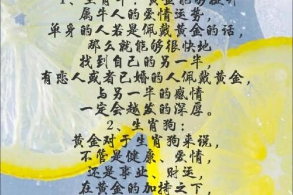 今年26岁属啥 24年28岁属什么生肖