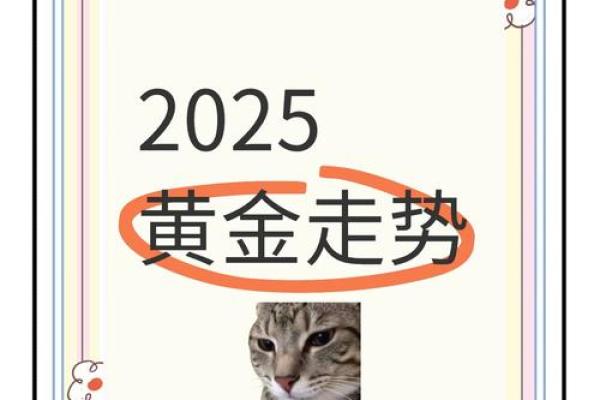 2025年2月交易最好的日子 2025年2月最佳交易日抓住黄金时机