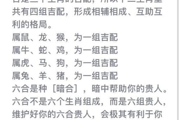 龙和鼠属相合不合 龙鼠属相合不合揭秘生肖配对的神秘力量