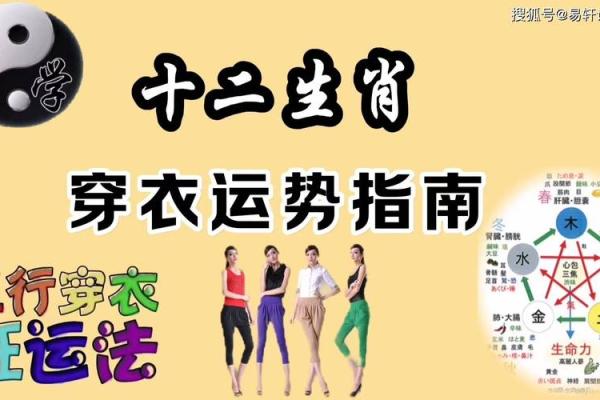 属兔最佳生肖配对揭秘最契合的生肖伴侣