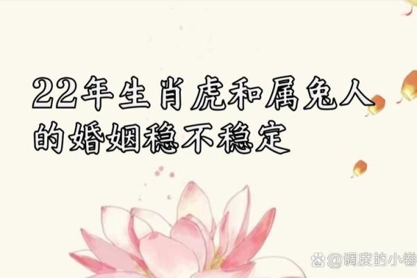 属兔最佳生肖配对揭秘最契合的生肖伴侣