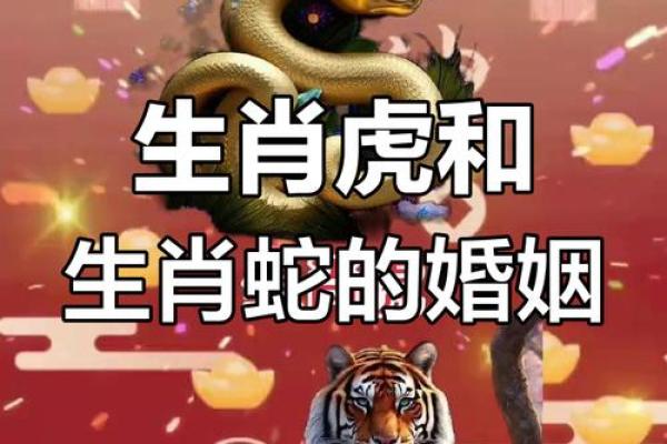 属蛇和属虎的合不合 属蛇和属虎的合不合家人