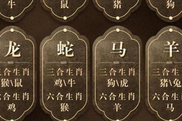 狗鼠属相相配吗_94狗女和96鼠男水火不容吗