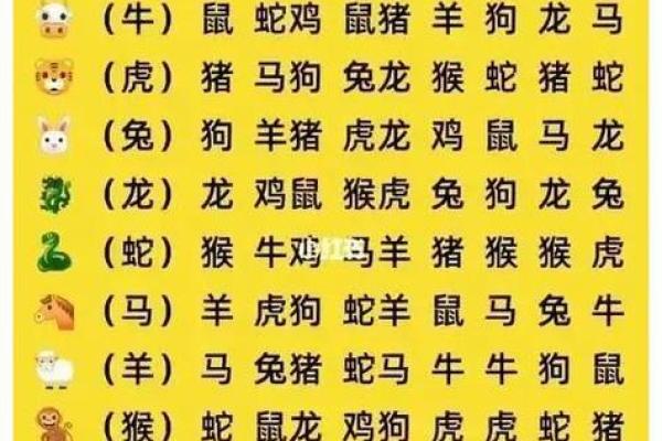 揭秘人肖哪些生肖属于人肖