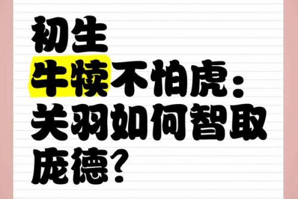 初生牛儿不怕虎揭秘生肖牛与虎的寓意与象征