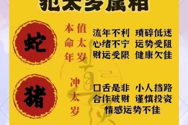 2025年1988年属龙人运势及运程每月运程 2025年属龙人每月运势详解1988年出生者全年运程预测