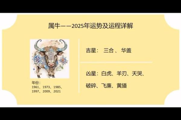 2025年属相运势及运程_属相算命2025年运势
