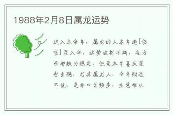 1988年属龙人的命运解析与生肖运势