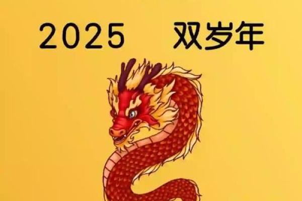 2024年属龙全年运势详解事业财运感情全面解析