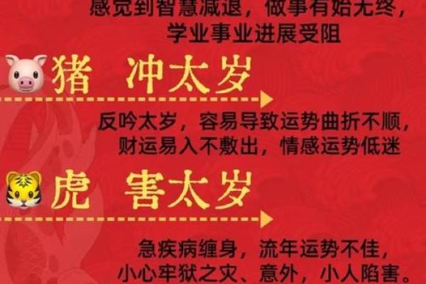 80年属什么生肖属相_79年属什么生肖属相