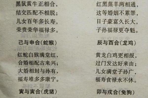 虎与什么属相最好_虎与哪些属相最配揭秘最佳生肖配对