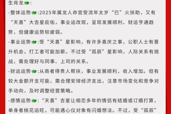 2025年属龙的是什么_2025年属龙的是什么太岁