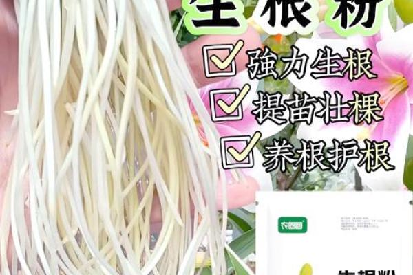 根生叶茂代表生肖 根深叶茂是何道理