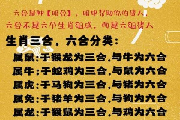属虎三合和三冲属相 属虎三合与三冲属相解析提升运势的关键指南