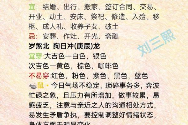 2024年01月出生属什么生肖生肖运势解析