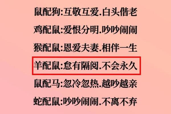 老鼠跟什么属相最配 老鼠与哪些属相最配揭秘最佳生肖配对