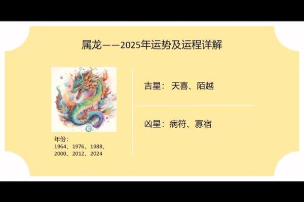 属龙多大2025_2025年属龙人年龄揭秘你今年几岁