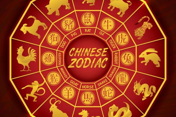 2022年属什么生肖揭秘22年出生者的生肖运势