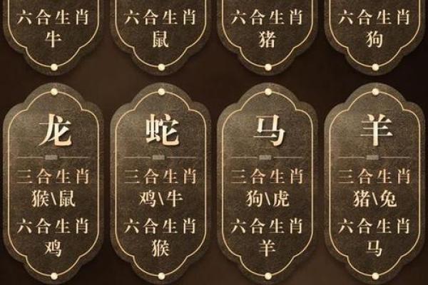 凶肖是哪几个生肖_凶肖揭秘哪些生肖被称为凶肖