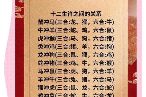 今日生肖属什么生肖 今日生肖属什么2023年最新生肖查询指南