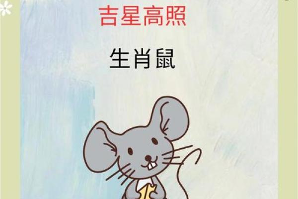 2024年属鼠人年龄查询今年你几岁了