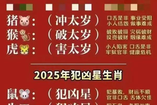 2011年是什么生肖年 2011年生肖运势解析