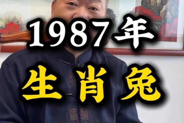 87年属啥 87年出生今年多大岁数