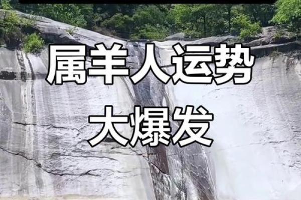 属羊人2021年全年运势 2021年属羊人财运如何