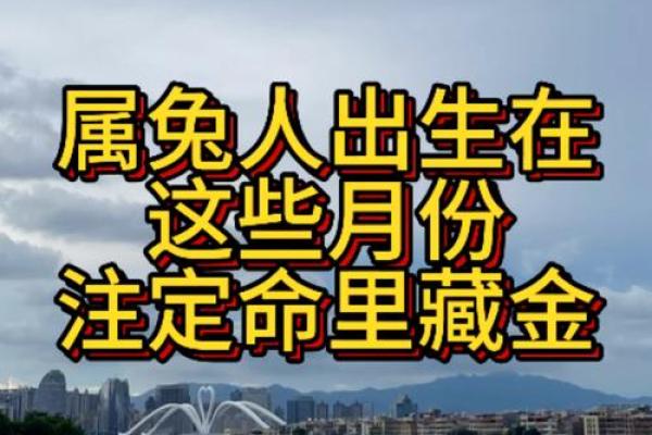 属兔几月出生最好命运 属兔几月出生是一等命 属兔几月是一等命