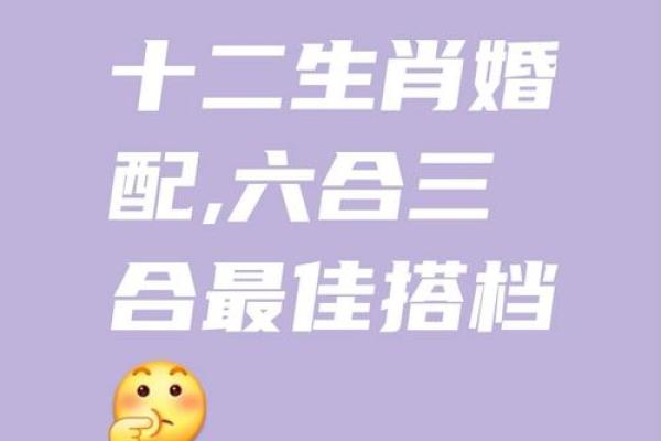 1987年出生属什么 1987年生肖婚配表