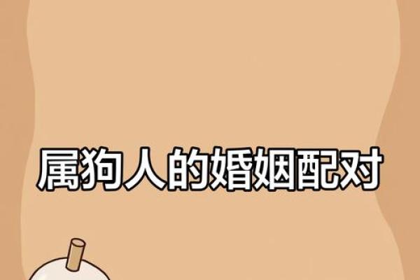 属狗的和什么属相最配、相克 属狗婚配最佳属相和禁忌